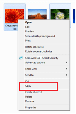 Windows Action Menu, Copy